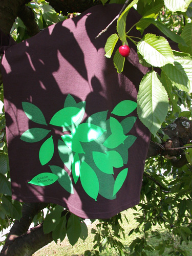 lb-cerises-dans-arbre.jpg